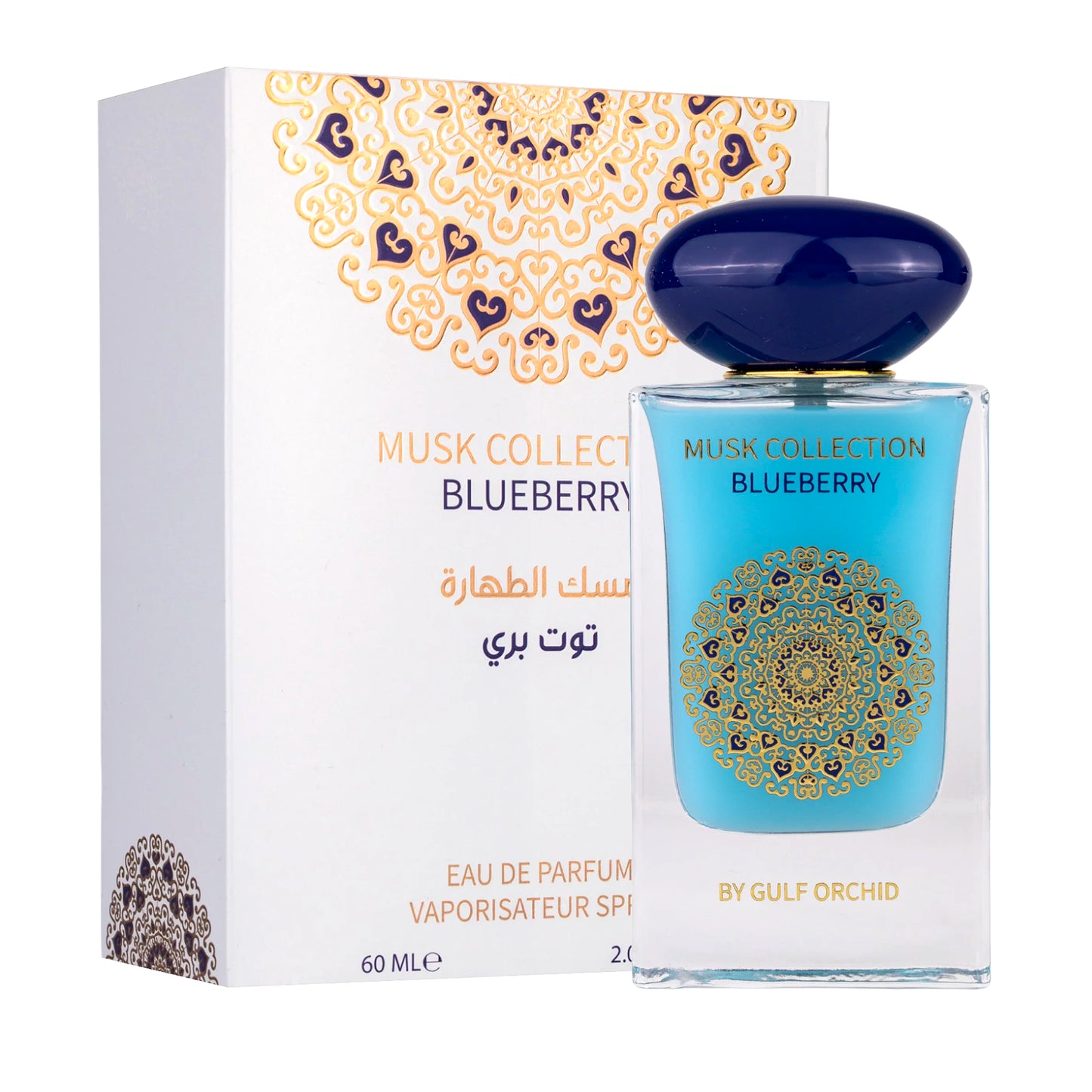 BLUEBERRY (MUSK COLLECTION) - GULF ORCHID